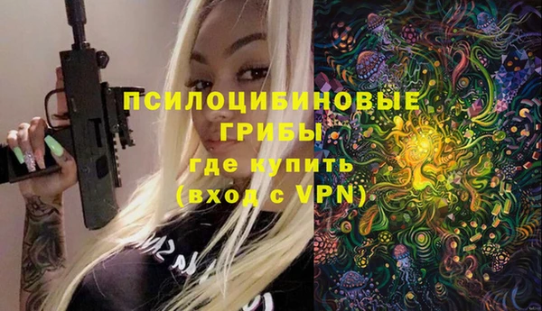 а пвп мука Верея